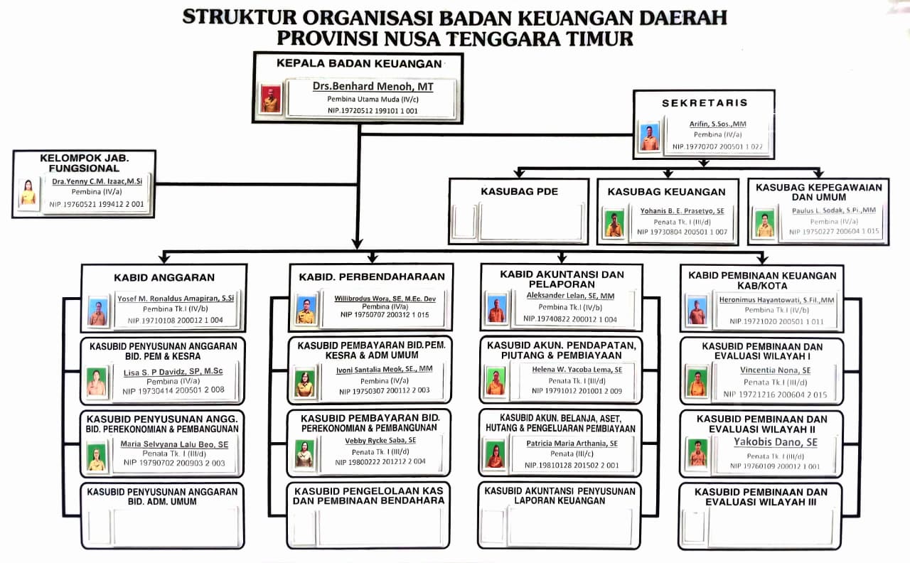 Struktur Organisasi